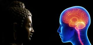 How Meditation Changes the Brain