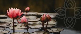 What Is Compassion-Based Resilience Training (CBRT)?